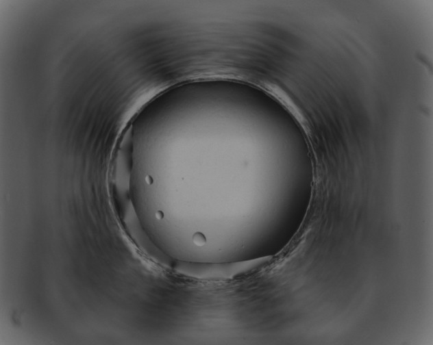 X0000093110909200710171220