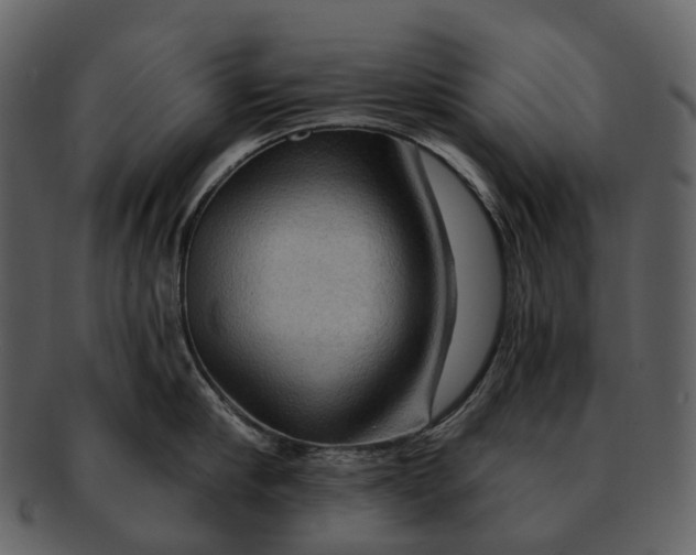 X0000093110910200710171220