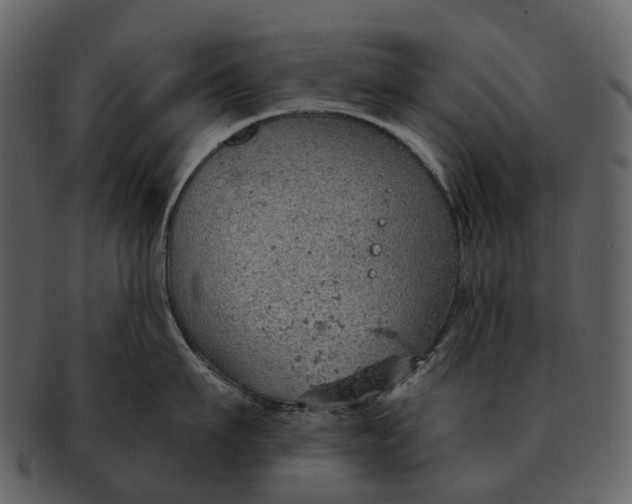 X0000093110911200710171220