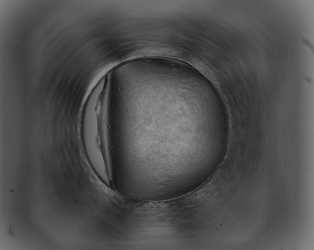 X0000093110912200710171220