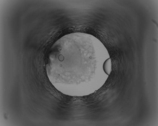 X0000093110913200710171219