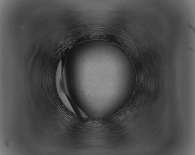 X0000093110914200710171219