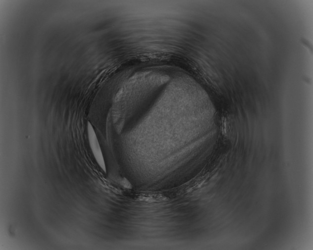 X0000093110915200710171219