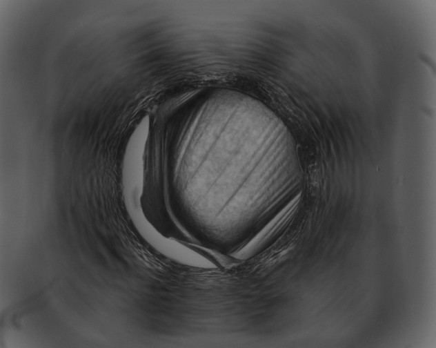 X0000093110916200710171219