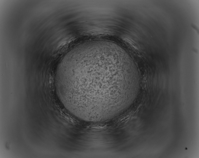 X0000093110917200710171219