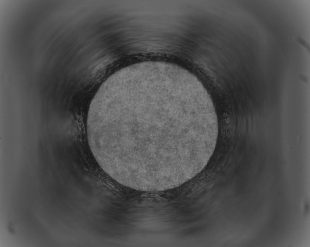 X0000093110918200710171219