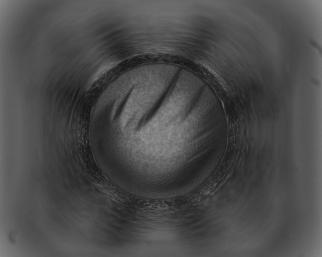 X0000093110919200710171219