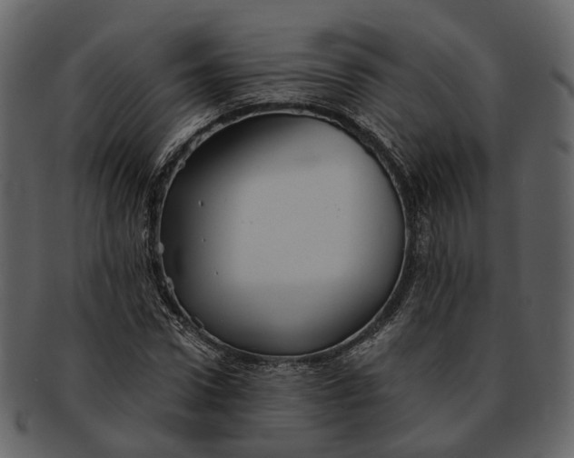 X0000093110922200710171219