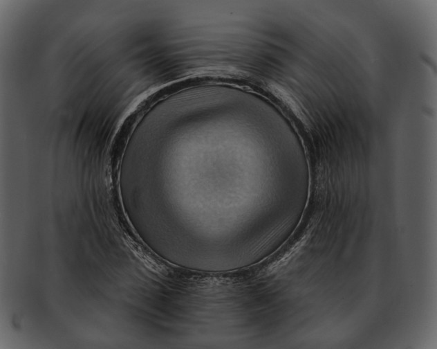 X0000093110923200710171219