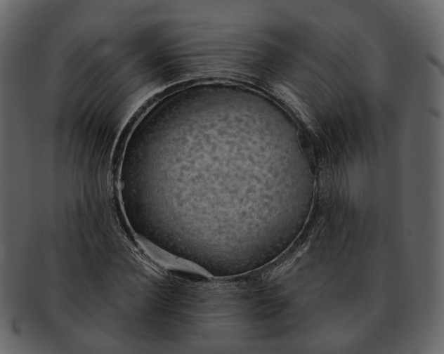 X0000093110924200710171219