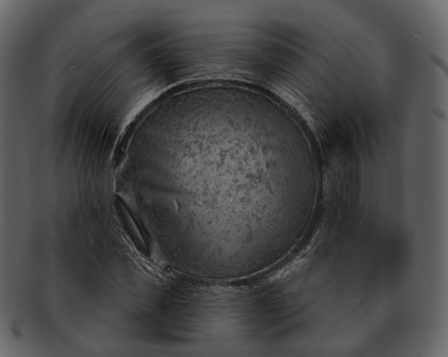 X0000093110925200710171219