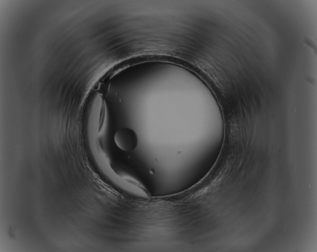 X0000093110926200710171219