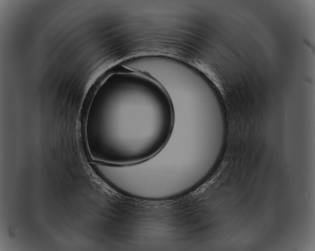 X0000093110928200710171219