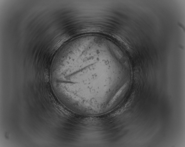 X0000093110929200710171219