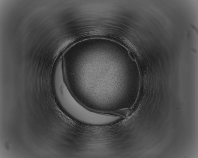 X0000093110930200710171219