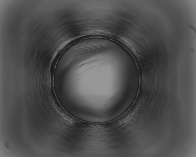 X0000093110931200710171219