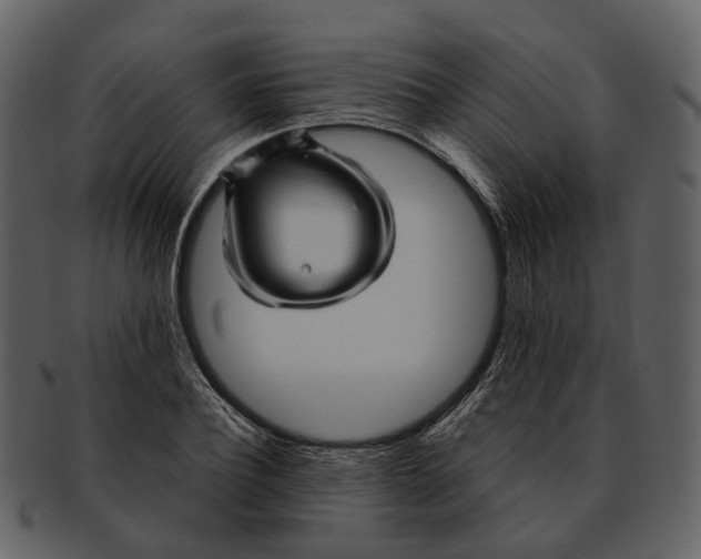 X0000093110932200710171219