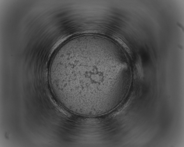 X0000093110933200710171219