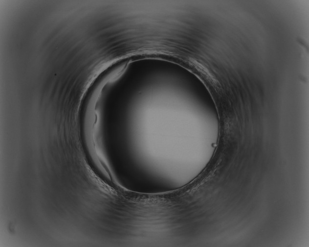 X0000093110934200710171219