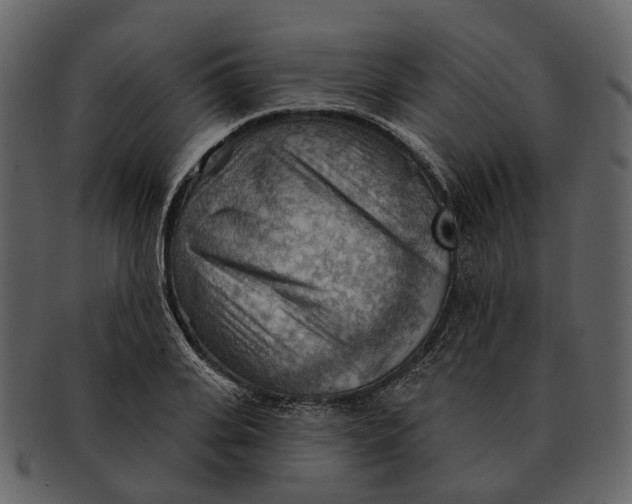 X0000093110935200710171219