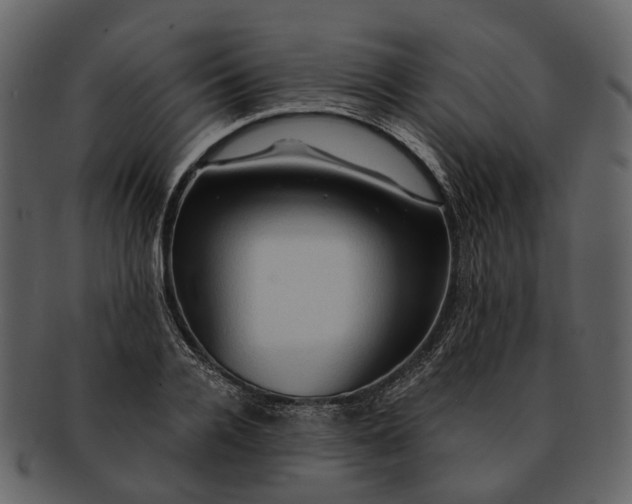 X0000093110936200710171219