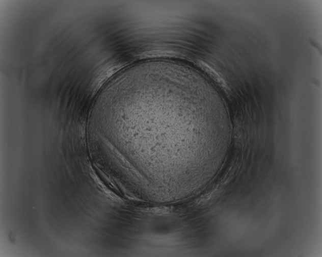 X0000093110937200710171219