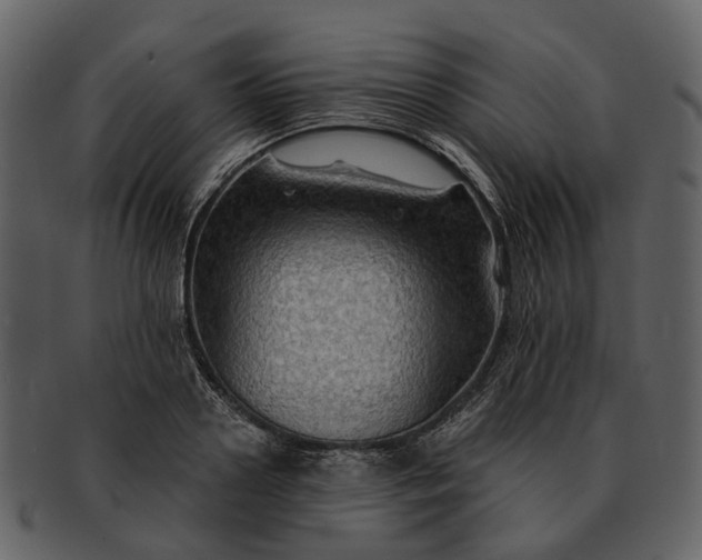 X0000093110938200710171219