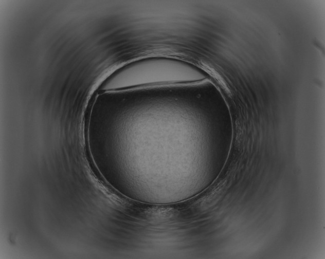 X0000093110939200710171220