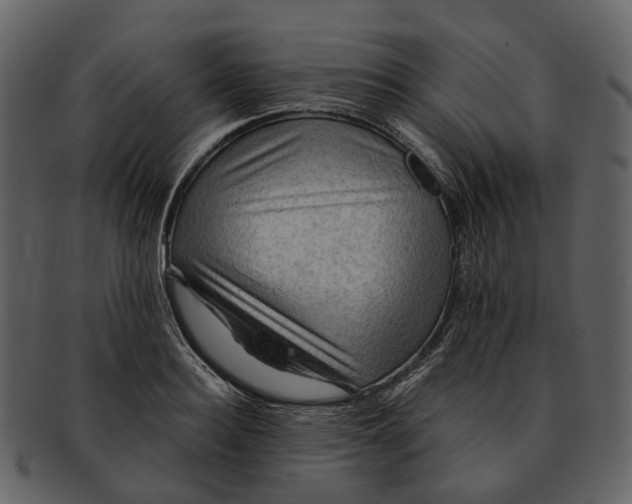 X0000093110940200710171220