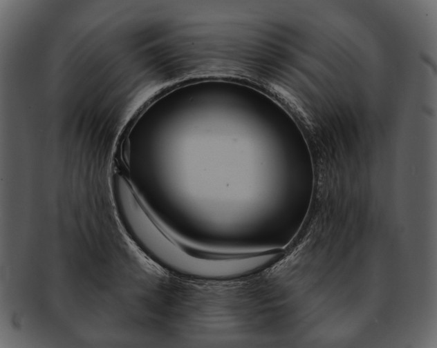 X0000093110942200710171220