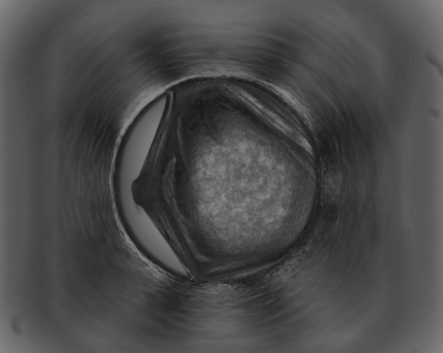 X0000093110943200710171220