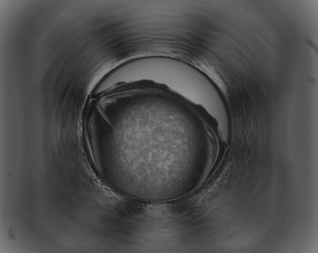 X0000093110944200710171220