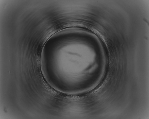 X0000093110945200710171220