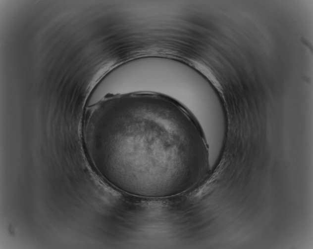 X0000093110946200710171220