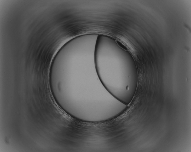 X0000093110948200710171220