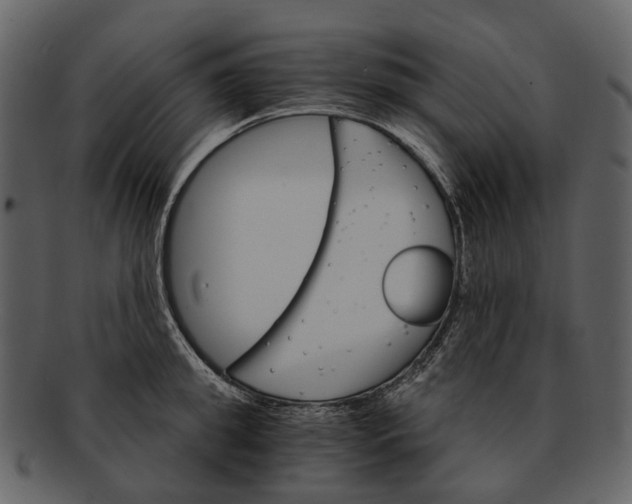 X0000093110949200710171220