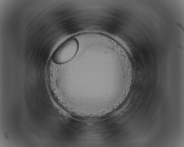 X0000093110950200710171220