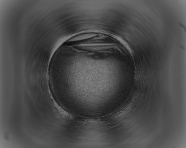 X0000093110951200710171220