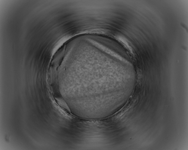 X0000093110952200710171220