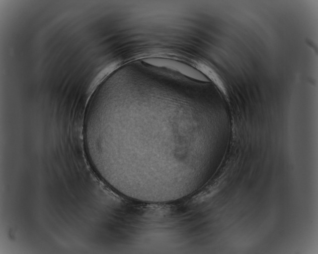 X0000093110954200710171220