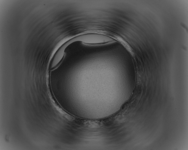 X0000093110955200710171220