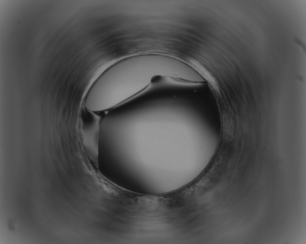 X0000093110956200710171220