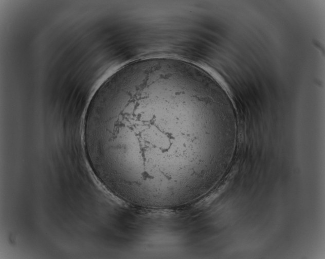 X0000093110957200710171220