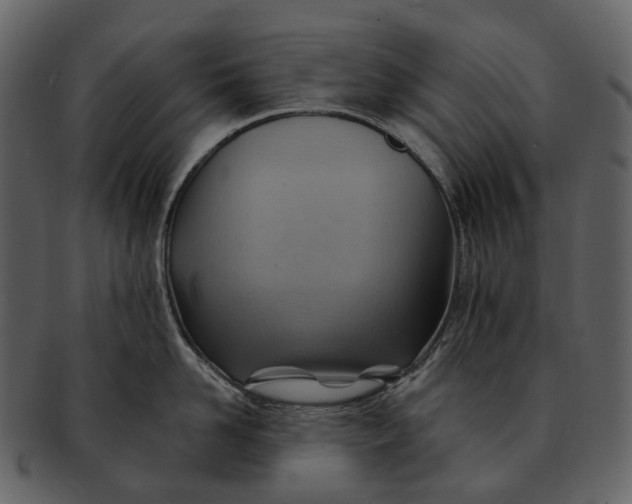 X0000093110958200710171220