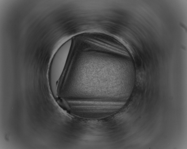 X0000093110959200710171220