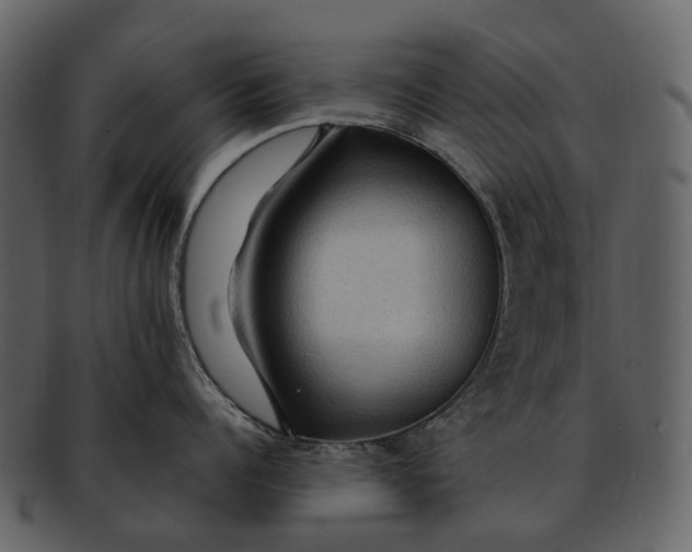 X0000093110960200710171220