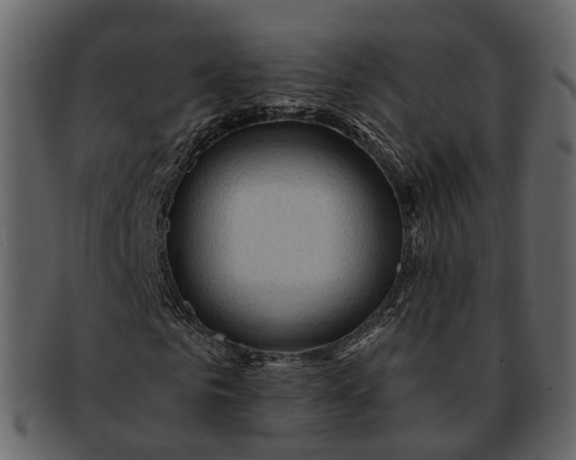 X0000093110961200710171219