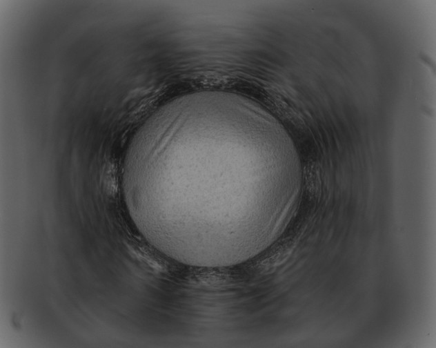 X0000093110962200710171219