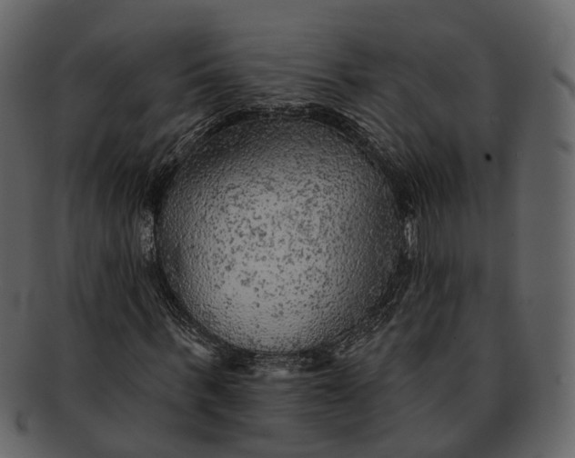 X0000093110963200710171219