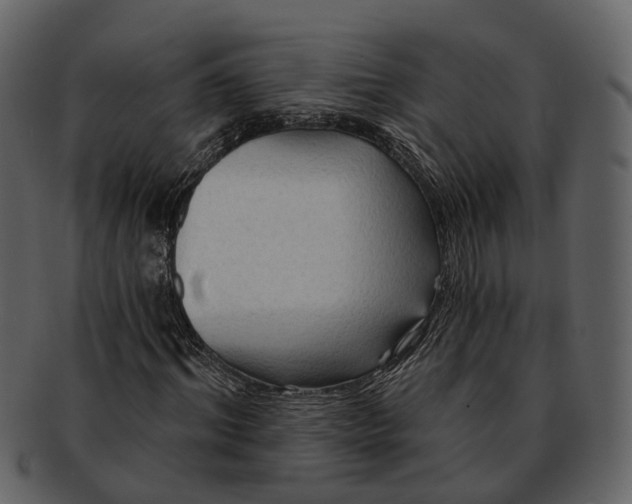 X0000093110964200710171219